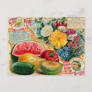 Vintage Saatgutanzeige Postkarte