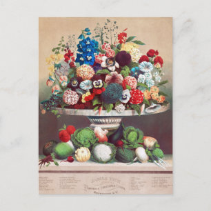 Vintage Saatgutanzeige Postkarte