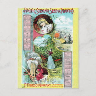 Vintage Saatgutanzeige Postkarte
