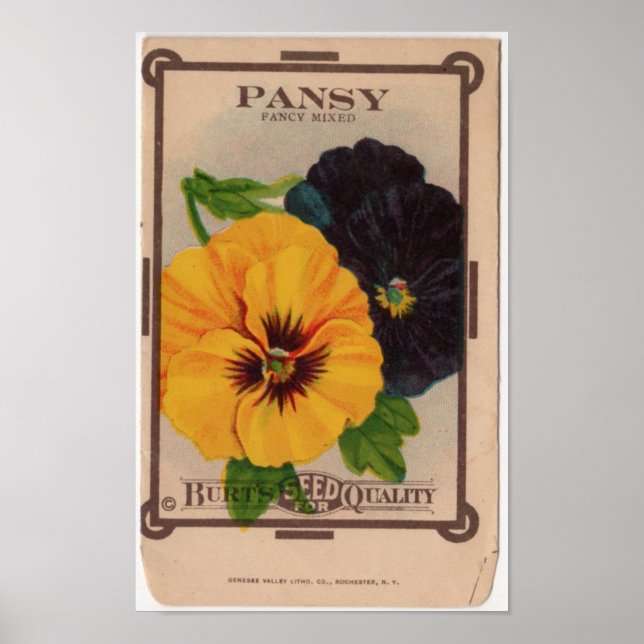 Vintage Saatgutpackungen Poster (Vorne)