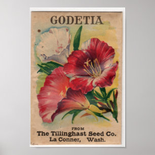 Vintage Saatgutpackungen Poster