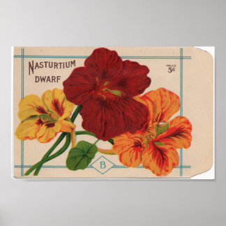 Vintage Saatgutpackungen Poster