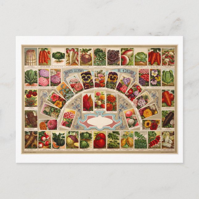 Vintage Saatgutpackungen Postkarte (Vorderseite)