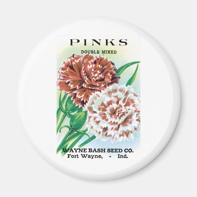 Vintage Saatgutverpackung Kunst, Pinks Nelke Blume Magnet (Vorne)