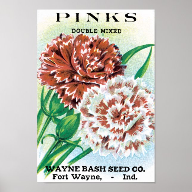 Vintage Saatgutverpackung Kunst, Pinks Nelke Blume Poster (Vorne)