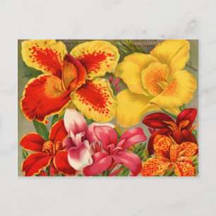 Vintage Saatgutverpackungen Karten, Porto und Gesc Postkarte