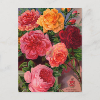 Vintage Saatgutverpackungskarten, Porto und Gesche Postkarte