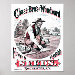 Vintage Saatgutwerbung Poster