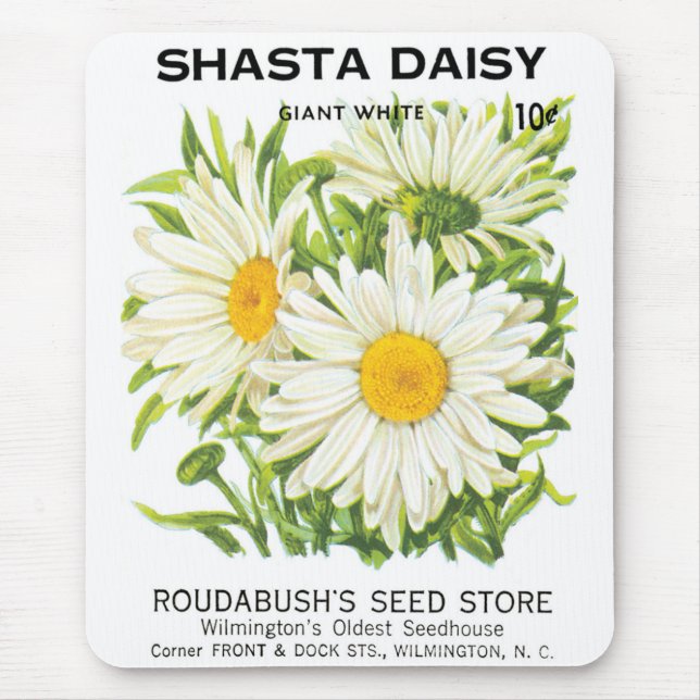 Vintage Saatpackung Kunst, Shasta Daisy Blume Mousepad (Vorne)