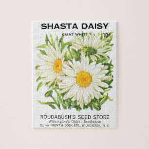 Vintage Saatpackung Kunst, Shasta Daisy Blume Puzzle