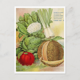 Vintage-Samen-Werbe-Postkarte Postkarte