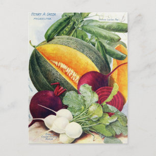 Vintage-Samen-Werbe-Postkarte Postkarte