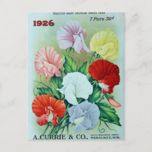 Vintage-Samen-Werbe-Postkarte Postkarte