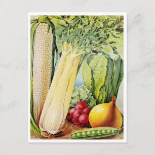 Vintage-Samen-Werbe-Postkarte Postkarte