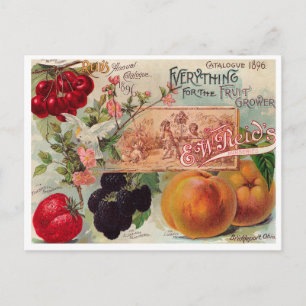 Vintage-Samen-Werbe-Postkarte Postkarte