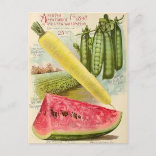 Vintage-Samen-Werbe-Postkarte Postkarte