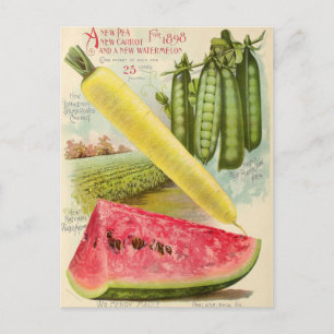 Vintage-Samen-Werbe-Postkarte Postkarte