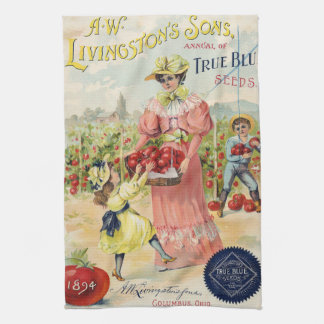 Vintage-Samenkatalog 1894 Livingston's Geschirrtuc Geschirrtuch