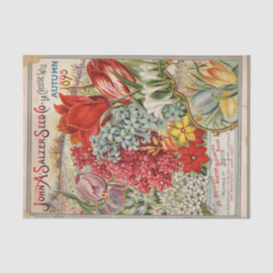 Vintage-Samenkatalog 1895 John Salzer Winterzwiebe Seidenpapier