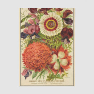 Vintage-Samenkatalog Burpee Neue Blumen 1887 Seidenpapier