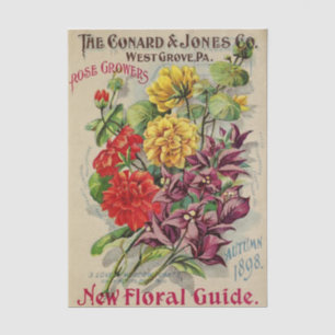 Vintage-Samenkatalog Conard Jones, Herbst 1898 Seidenpapier