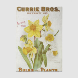 Vintage-Samenkatalog Curries Bros, Herbst 1900 Seidenpapier