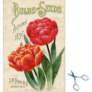 Vintage-Samenkatalog D.M. Ferry Herbst 1897 Seidenpapier