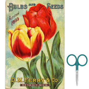 Vintage-Samenkatalog D.M. Ferry Herbst 1899 Seidenpapier