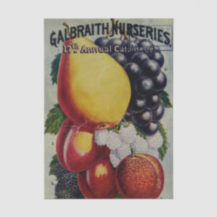 Vintage-Samenkatalog, Galbraith Nurseries Seidenpapier