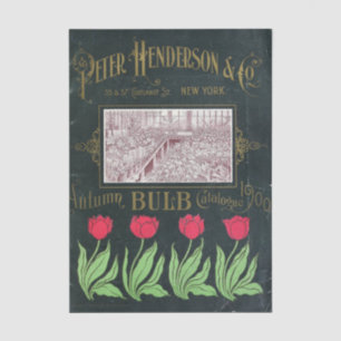Vintage-Samenkatalog Peter Henderson, 1901, Blumen Seidenpapier