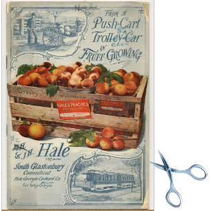 Vintage Samenkataloge Seidenpapier