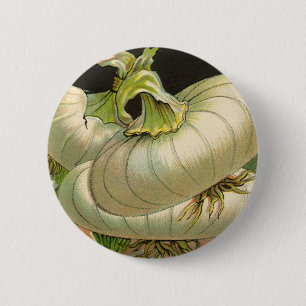 Vintage-Samenpaket-Etikettenkunst Weiße Bermuda-Zw Button