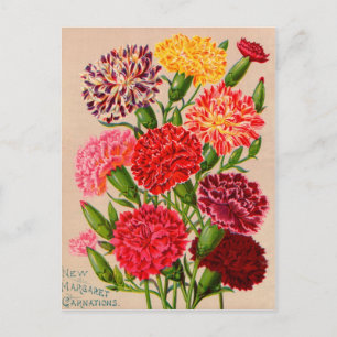 Vintage-Samenpaket-Karten, Porto und Geschenke Postkarte