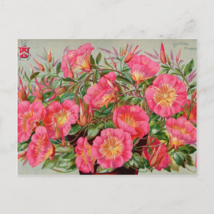 Vintage-Samenpaket-Karten, Porto und Geschenke Postkarte