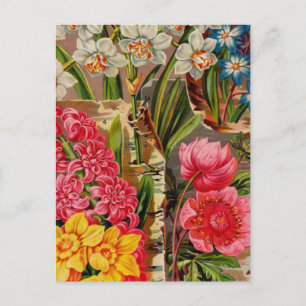 Vintage-Samenpaket-Katalogkarten, Porto, Geschenke Postkarte