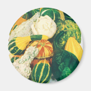 Vintage-Samenpaket-Kunst, gemischte Kürbisse Magnet