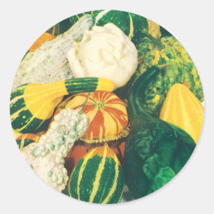 Vintage-Samenpaket-Kunst, Kürbis-Mischung Runder Aufkleber