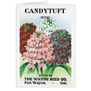 Vintage-Samenpaket-Kunst, Schleifenblumen-Gartenbl