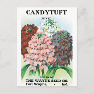 Vintage-Samenpaket-Kunst, Schleifenblumen-Gartenbl Postkarte