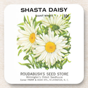 Vintage-Samenpaket-Kunst, Shasta-Margeriten-Blumen Getränkeuntersetzer