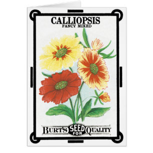 Vintage-Samenpaket-Label-Kunst, Calliopsis-Blumen