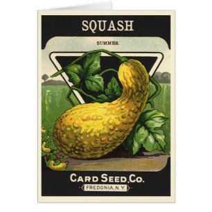 Vintage-Samenpaket-Label-Kunst Gelber Sommersquash