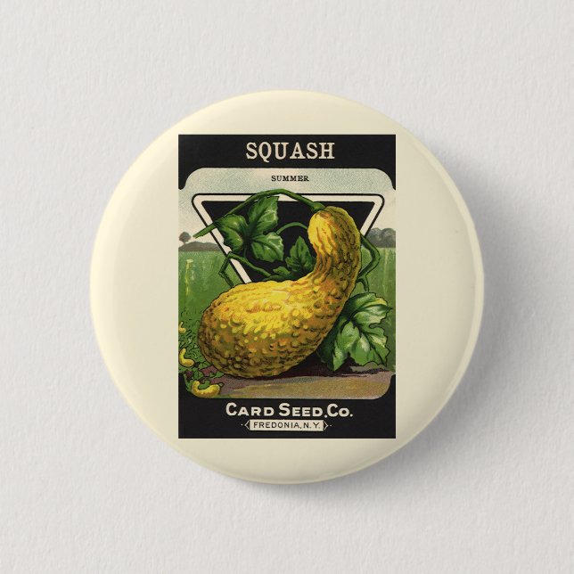Vintage-Samenpaket-Label-Kunst Gelber Sommersquash Button (Vorderseite)