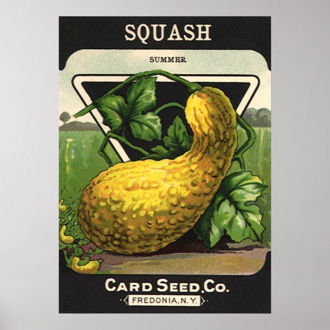 Vintage-Samenpaket-Label-Kunst Gelber Sommersquash Poster (Vorne)
