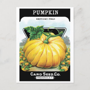 Vintage-Samenpaket-Label-Kunst, Halloween-Kürbis Postkarte
