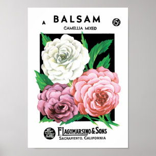 Vintage-Samenpaket-Label-Kunst, Kamelienblüten Poster
