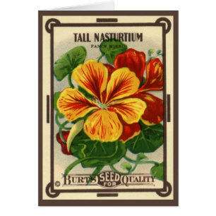 Vintage-Samenpaket-Label-Kunst, Kapuzinerkresse-Bl