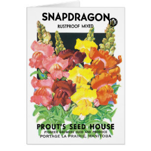 Vintage-Samenpaket-Label-Kunst, Löwenmäulchen-Blum