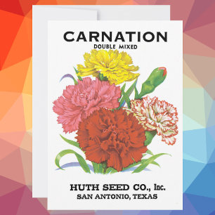 Vintage-Samenpaket-Label-Kunst, Nelkenblumen