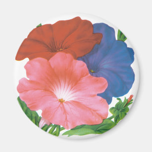 Vintage-Samenpaket-Label-Kunst, Petunienblumen Magnet